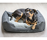 Panier pour chiens  Dreamy