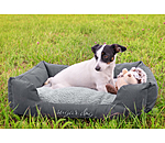Panier pour chiens  Dreamy