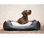 Panier pour chiens  Dreamy