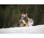 Manteau pour chiens avec doublure polaire  Eddie 200 g
