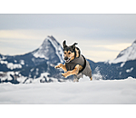 Manteau pour chiens avec doublure polaire  Eddie 200 g