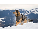 Manteau pour chiens avec doublure polaire  Eddie 200 g