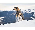 Manteau pour chiens avec doublure polaire  Eddie 200 g