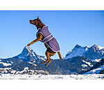 Manteau pour chiens avec doublure polaire  Eddie 200 g