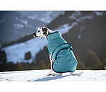Manteau pour chiens avec doublure polaire  Eddie 200 g