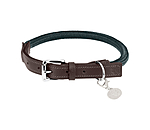 Collier pour chiens  Rope