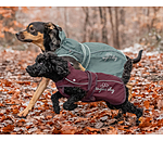 Manteau pour chien 2 en 1  Ally