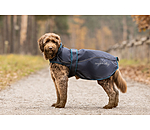 Manteau pour chien 2 en 1  Ally