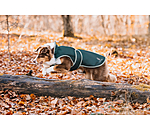 Manteau de pluie pour chiens  Eldoro II avec manteau intrieur polaire