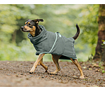 Chemise schante  Dry Dog II