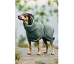 Chemise schante  Dry Dog II