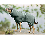 Chemise schante  Dry Dog II