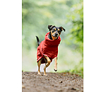 Chemise schante  Dry Dog II