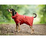 Chemise schante  Dry Dog II