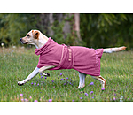 Chemise s�chante  Dry Dog II