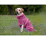 Chemise s�chante  Dry Dog II