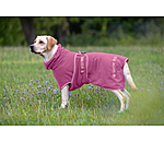 Chemise s�chante  Dry Dog II
