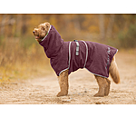 Chemise s�chante  Dry Dog II