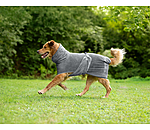 Chemise s�chante  Dry Dog II