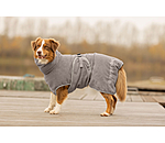 Chemise s�chante  Dry Dog II