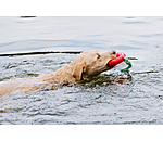 Jouet pour chiens  Mia
