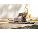 Tapis pour chiens  Let Me Sleep