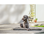 Tapis pour chiens  Let Me Sleep