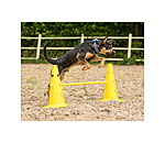 Pylnes d'agility