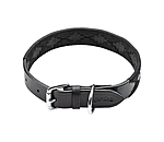 Set collier et laisse en cuir pour chiens  Polo Sports
