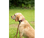 Collier en cuir  Livorno