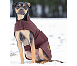 Manteau d'hiver pour chiens  Beaver Creek, 400 g