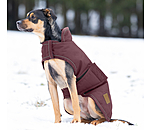 Manteau d'hiver pour chiens  Beaver Creek, 400 g