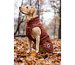 Manteau avec doublure en polaire Teddy pour chiens  Archie, 160 g