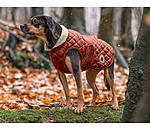 Manteau avec doublure en polaire Teddy pour chiens  Archie, 160 g