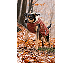Manteau avec doublure en polaire Teddy pour chiens  Archie, 160 g