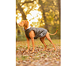 Manteau avec doublure en polaire Teddy pour chiens  Archie, 160 g