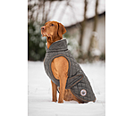 Manteau avec doublure en polaire Teddy pour chiens  Archie, 160 g