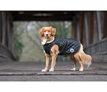 Manteau avec doublure en polaire Teddy pour chiens  Archie, 160 g