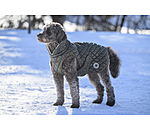 Manteau avec doublure en polaire Teddy pour chiens  Archie, 160 g