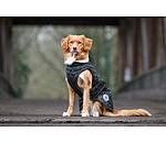 Manteau avec doublure en polaire Teddy pour chiens  Archie, 160 g