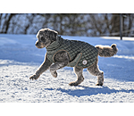 Manteau avec doublure en polaire Teddy pour chiens  Archie, 160 g