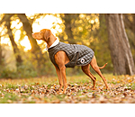 Manteau avec doublure en polaire Teddy pour chiens  Archie, 160 g