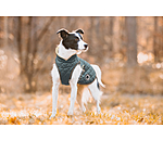 Manteau avec doublure en polaire Teddy pour chiens  Archie, 160 g