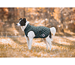 Manteau avec doublure en polaire Teddy pour chiens  Archie, 160 g