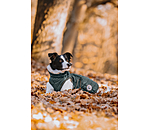 Manteau avec doublure en polaire Teddy pour chiens  Archie, 160 g
