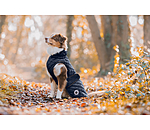 Manteau avec doublure en polaire Teddy pour chiens  Archie, 160 g