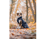 Manteau avec doublure en polaire Teddy pour chiens  Archie, 160 g