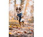 Manteau avec doublure en polaire Teddy pour chiens  Archie, 160 g