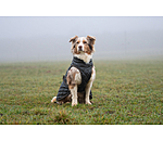Manteau avec doublure en polaire Teddy pour chiens  Archie, 160 g