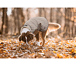 Manteau avec doublure en polaire Teddy pour chiens  Archie, 160 g